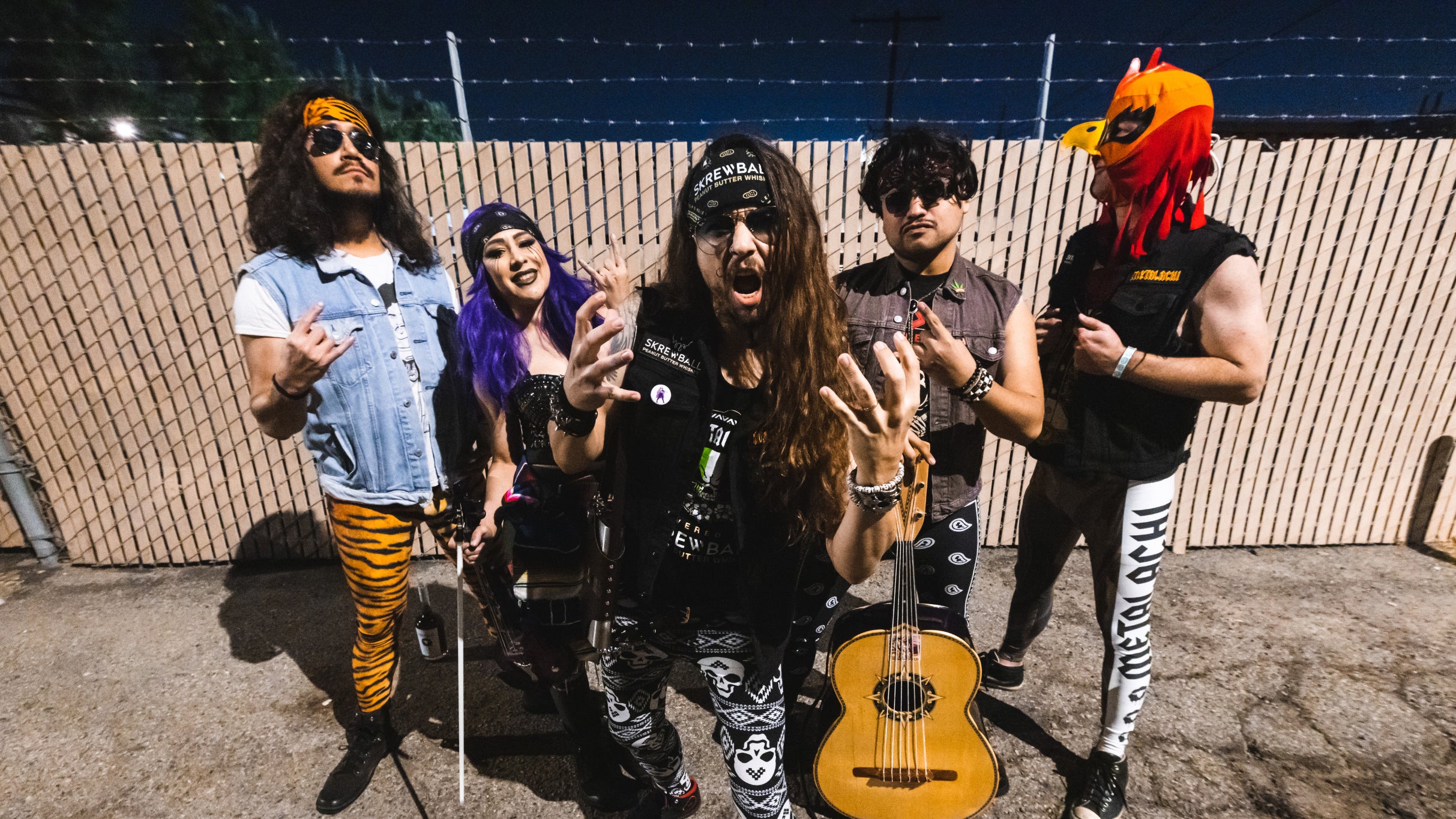 Photo for "Metalachi"