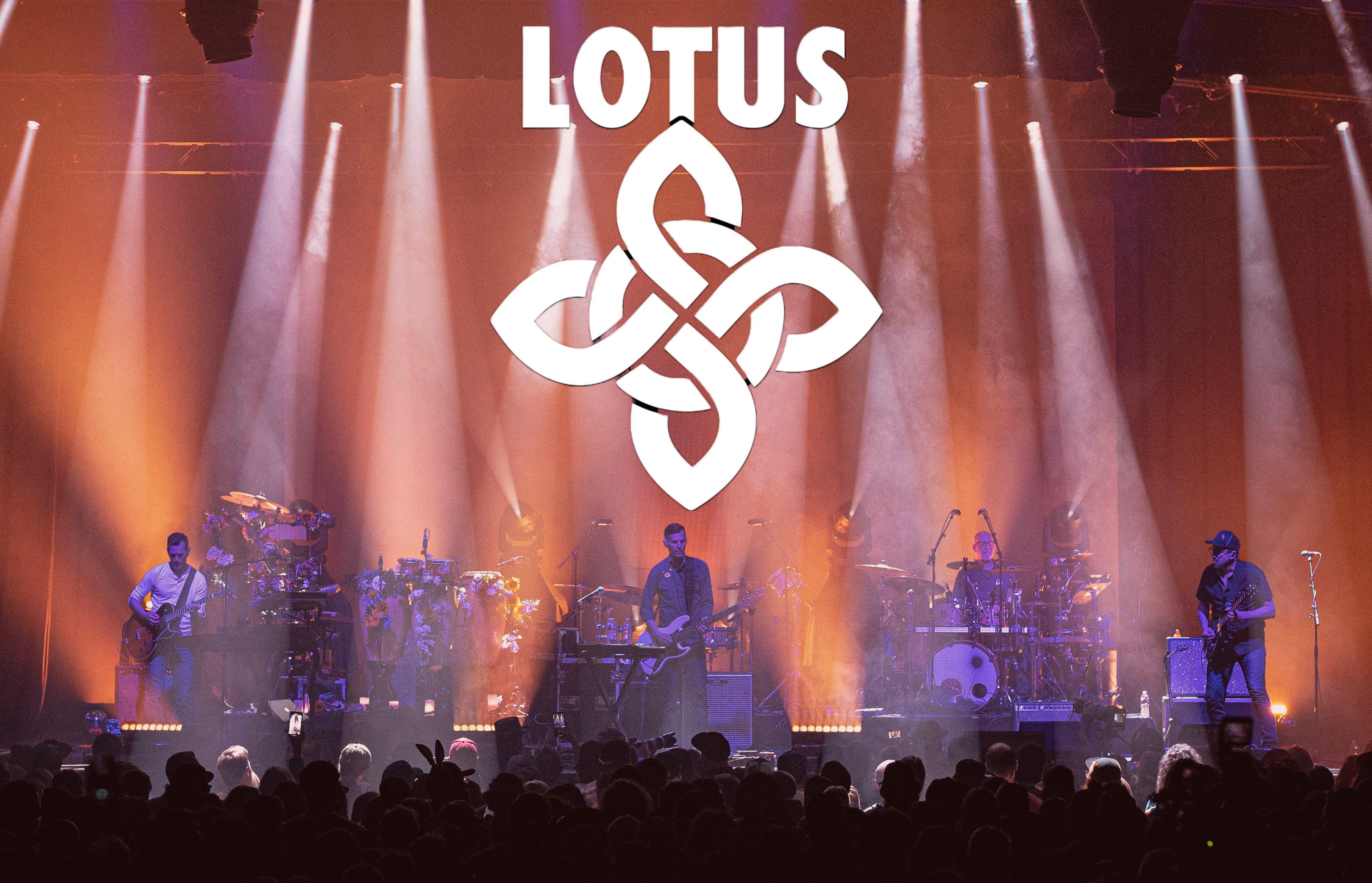 Photo for "Lotus"