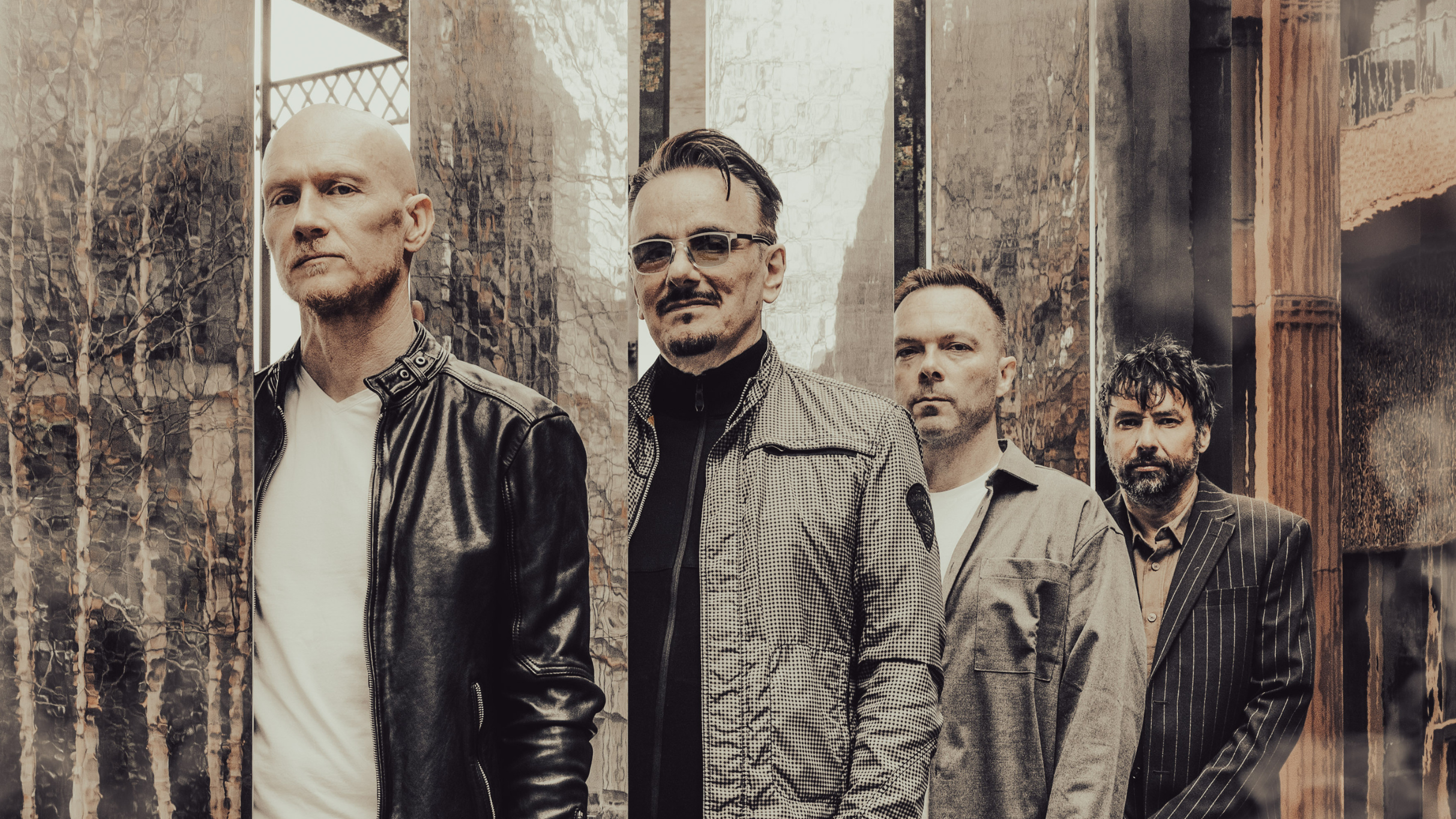 Photo for "The Pineapple Thief"