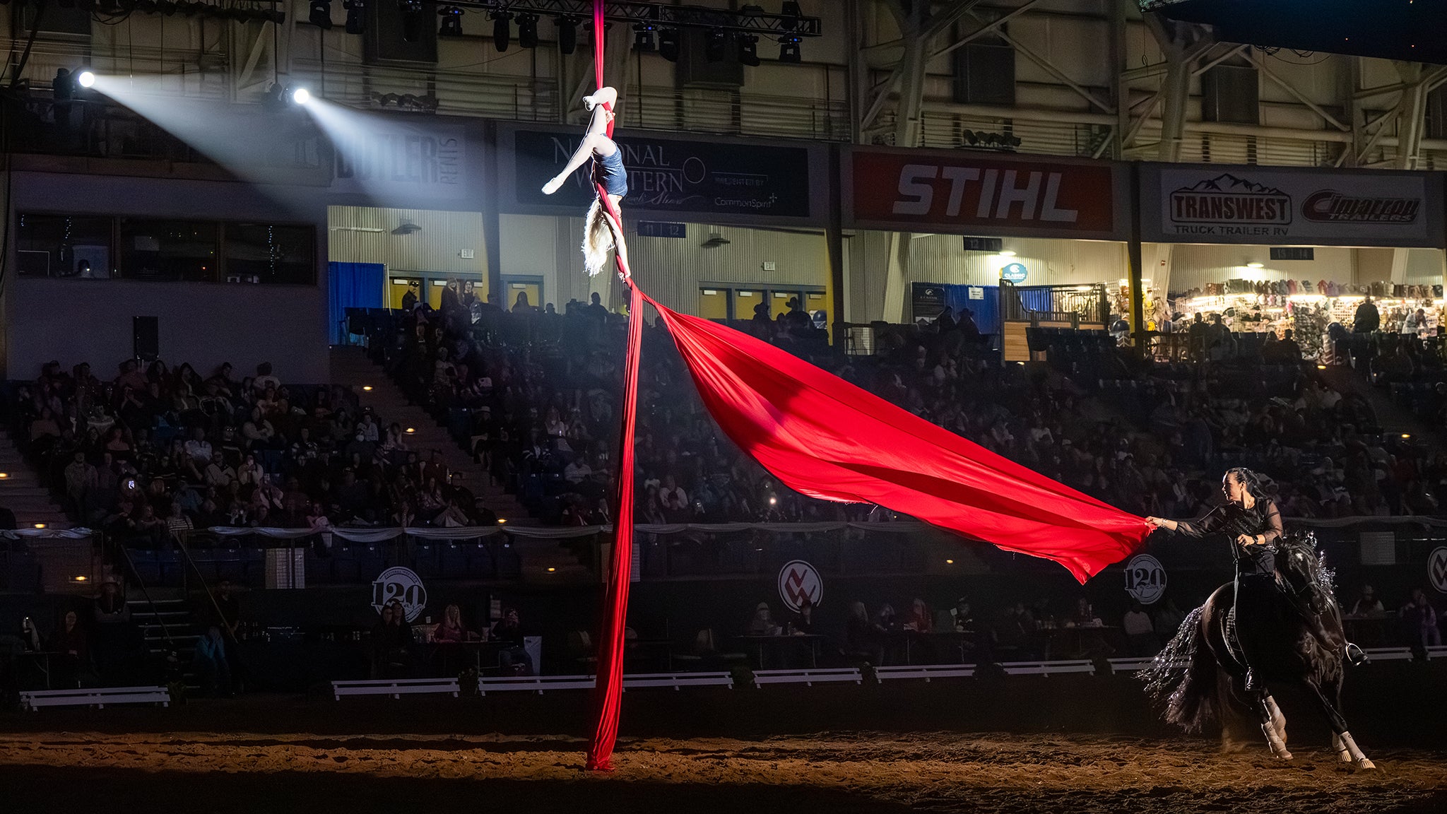 Photo for "An Evening of Dancing Horses presented by 9News - Fri. Jan. 22 7pm"