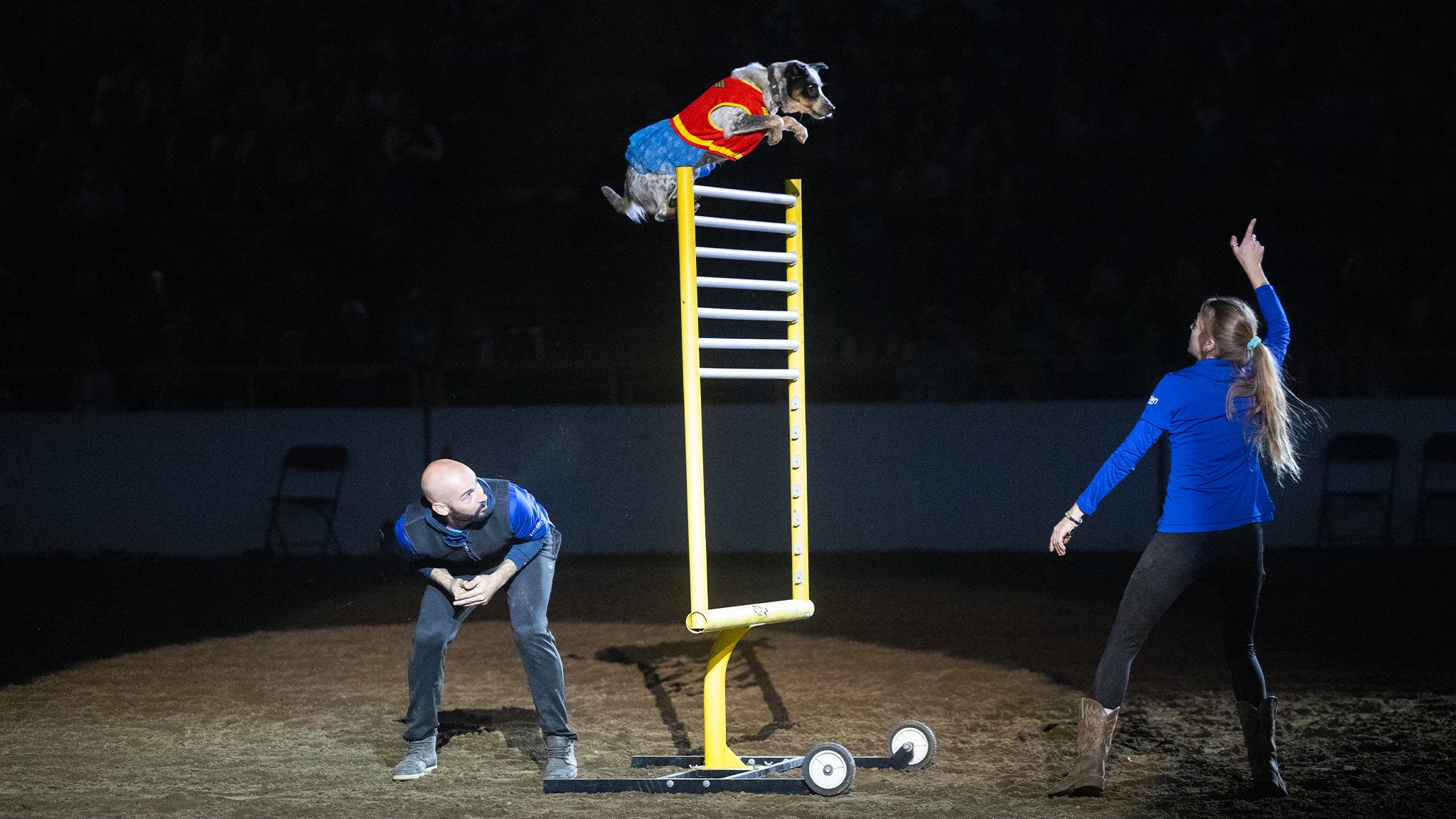 Photo for "Xtreme Dogs - Sat. Jan. 16 6:30pm"
