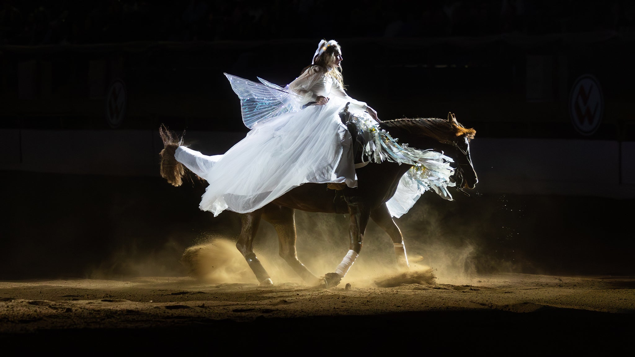Photo for "Freestyle Reining - Sun. Jan. 10 3pm"