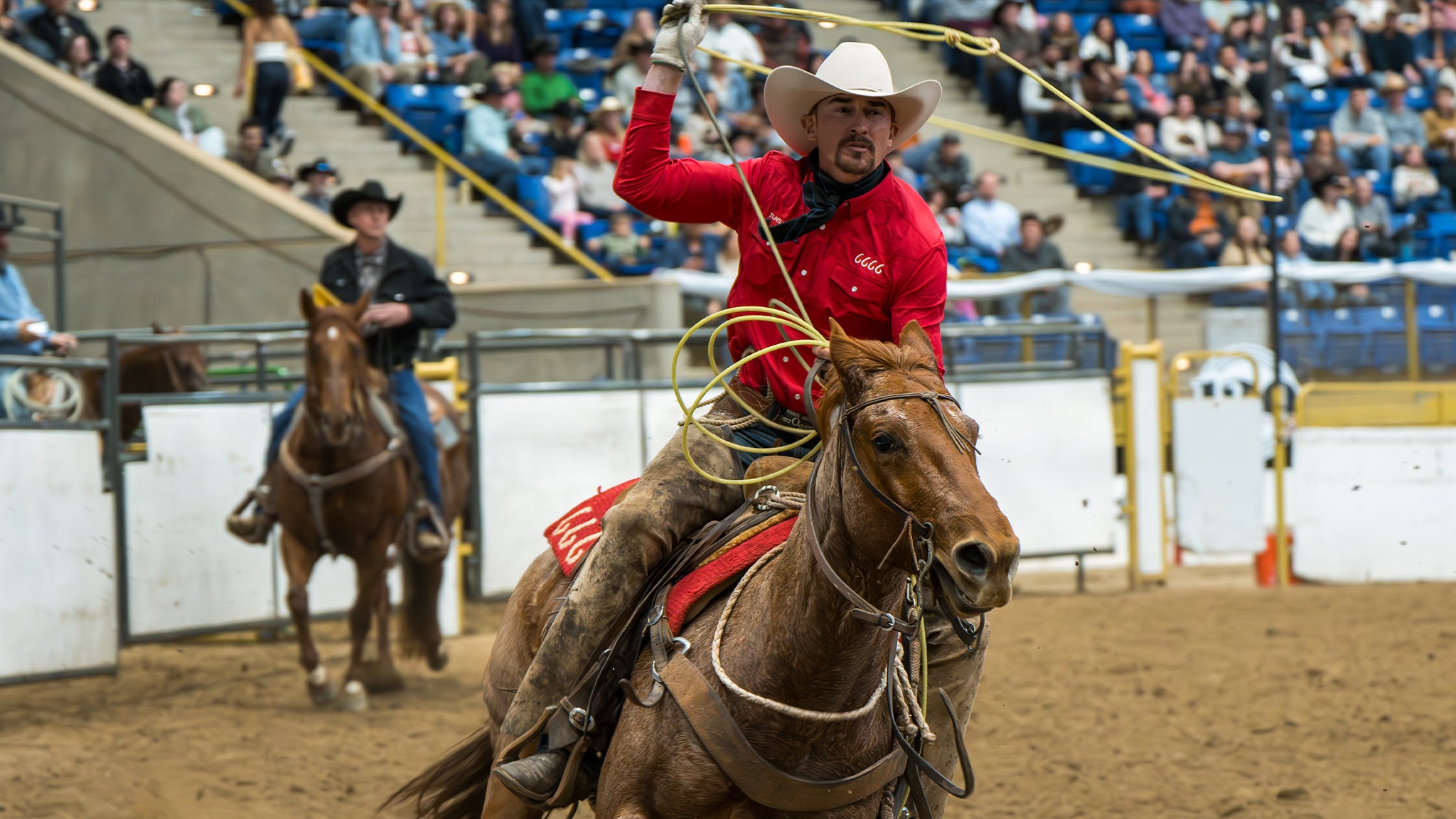 Photo for "Invitational Ranch Rodeo - Sat. Jan. 9 5:30pm"